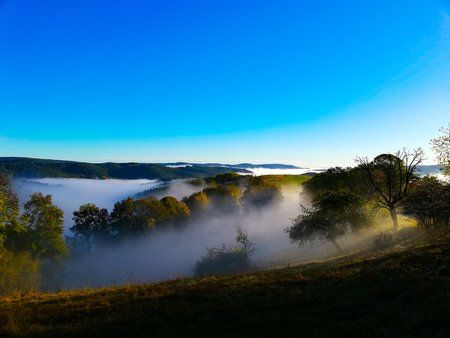 IMG_20181030_082619-10.jpg