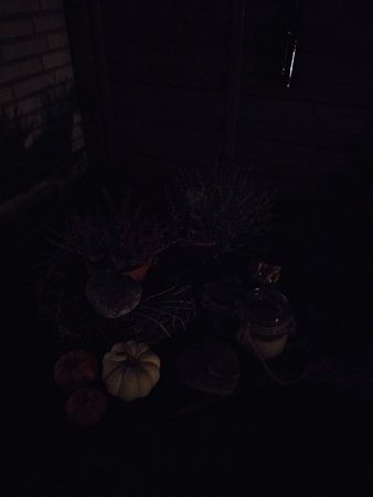 15416767886630_A1.jpg