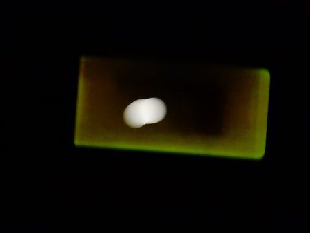 DSCN0552.JPG