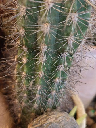 20181110_162144.jpg