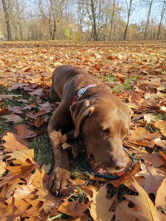 IMG_20181110_103050.jpg
