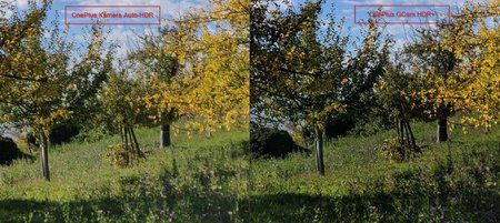 op_6t_stock_vs_gcam.jpg