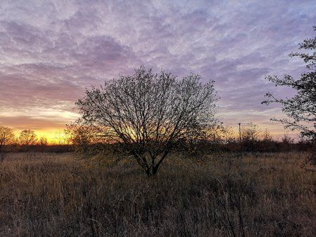 IMG_20181114_162302.jpg