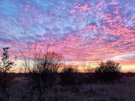 IMG_20181114_163634.jpg