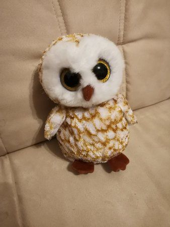 IMG_20181115_233342.jpg
