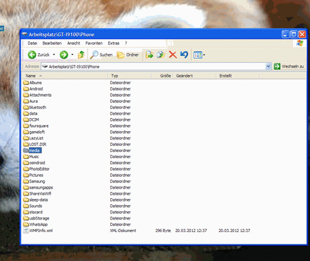 Samsung 1.gif