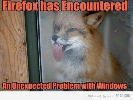 firefox unexpected problem with windows.jpg