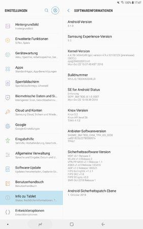 Screenshot_20181118-174739_Settings.jpg