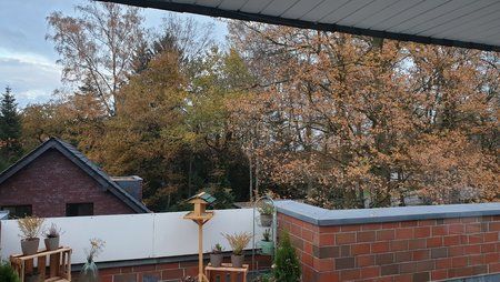 20181119_155737.jpg