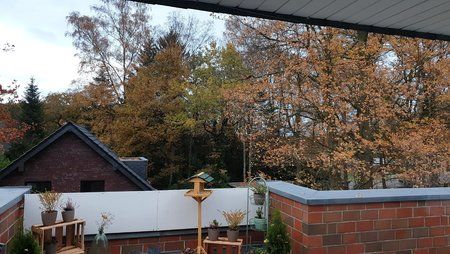 20181119_155731.jpg