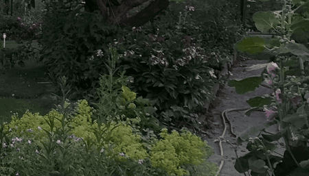 p20_crop.png p20_crop.png