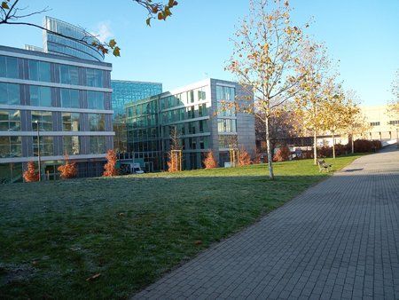 IMG_20181123_101924_0.jpg