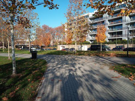 IMG_20181116_111746_2.jpg