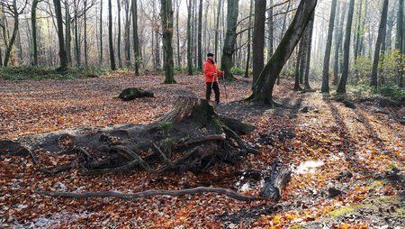 IMG_20181123_131241.jpeg