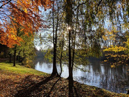 Am Mühlenteich.jpg