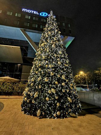 IMG_20181123_194237.jpg