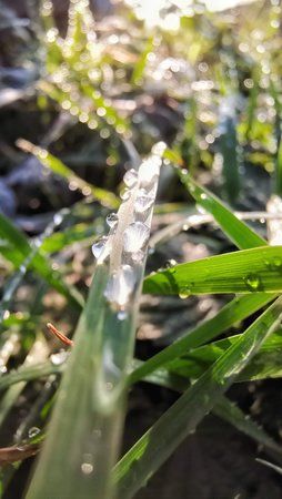 IMG_20181123_104456-01.jpeg