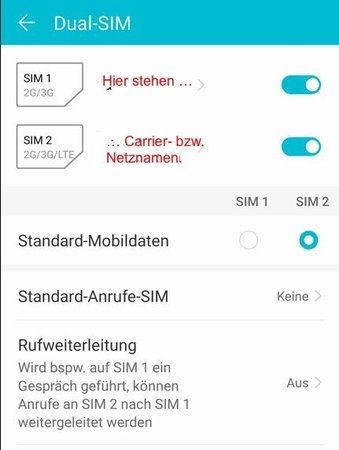 dualsim.jpg