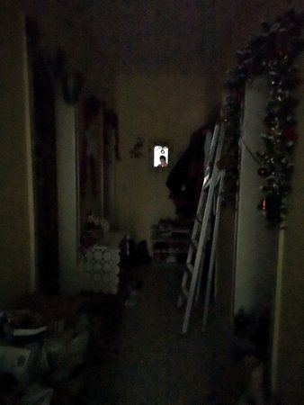 IMG_20181205_033224.jpg