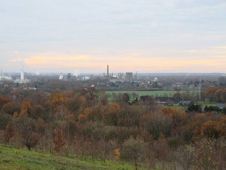 IMG_20181205_102751.jpg