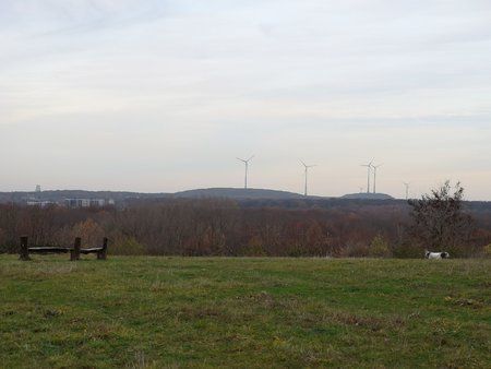 IMG_20181205_102833.jpg