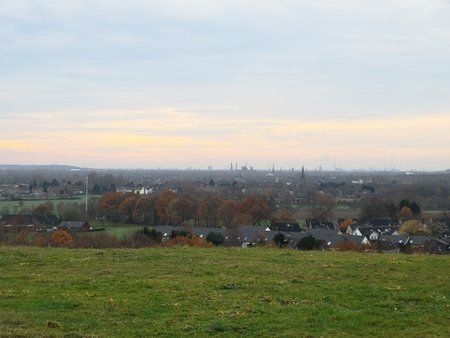 IMG_20181205_102954.jpg