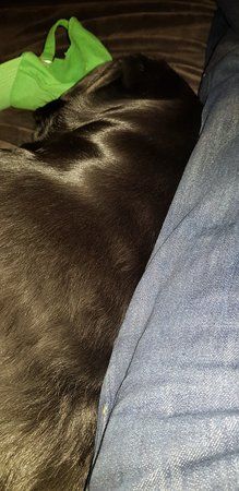 20181207_214030.jpg