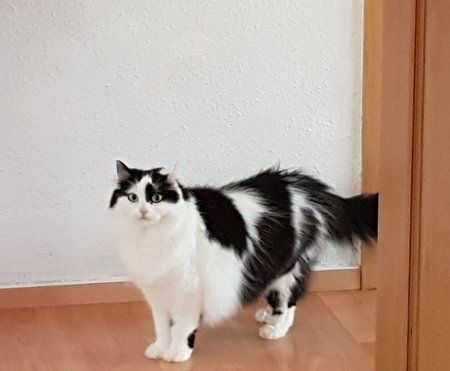 20170928_125214.jpg