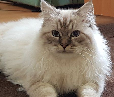 20170928_125731.jpg
