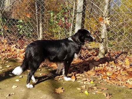 20181107_083934.jpg