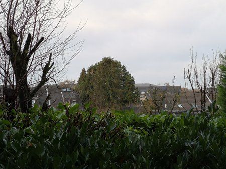 IMG_20181208_132143.jpg