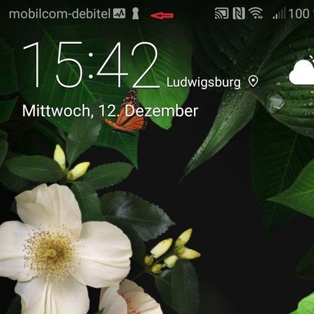 20181212_154216.jpg