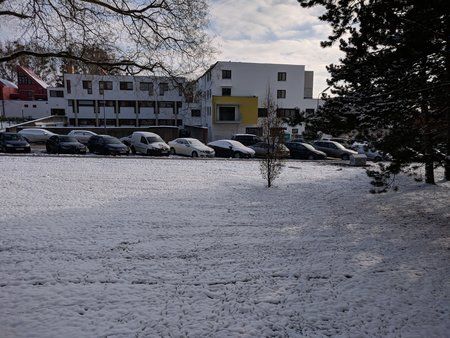 IMG_20181216_105640.jpg
