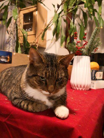IMG_20181219_191250.jpg