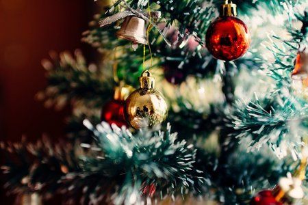 christmas-tree-1149619_1280.jpg