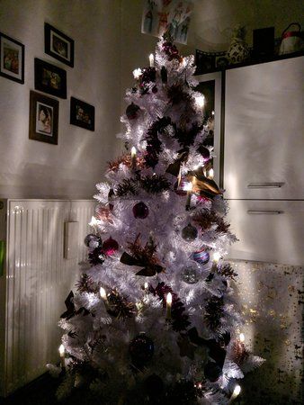 IMG_20181223_233215.jpg