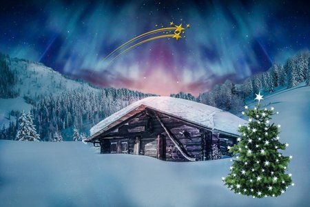 Huette-im-Wald-mit-Weihnachtsbaum.jpg