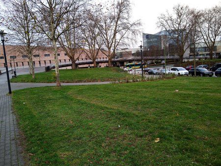IMG_20181220_102239_1CS.jpg
