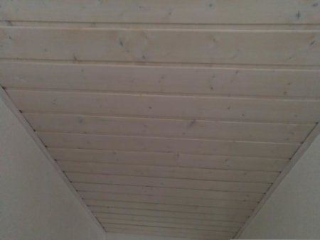 K800_IMG_20181227_113750_561.JPG