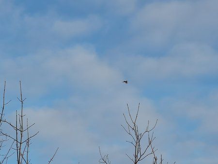 IMG_20181225_111213.jpg