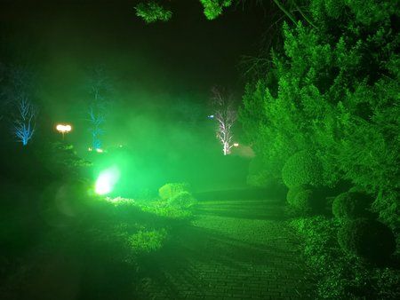 IMG_20181227_173949.jpg
