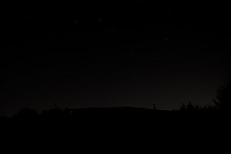 IMG_7008.jpg