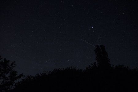 IMG_7386.jpg