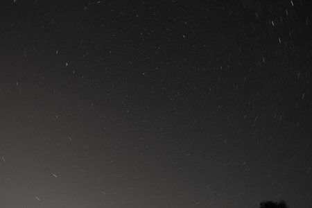 IMG_7591.jpg