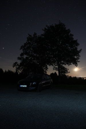 IMG_7779.JPG