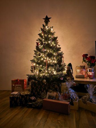IMG_20181224_165905.jpg