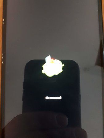 20181229_110428.jpg