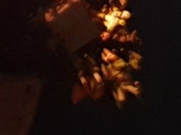 20190102_234219.jpg