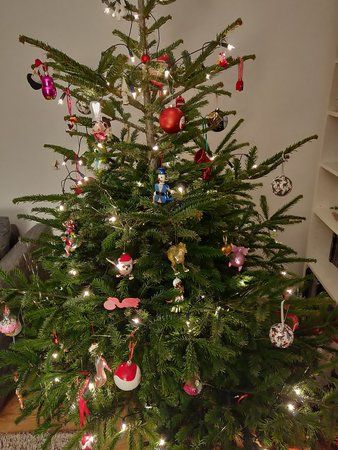 IMG_20190106_172329.jpg
