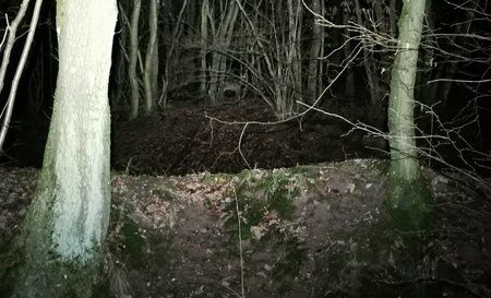 IMG_20190106_200013_645.jpg